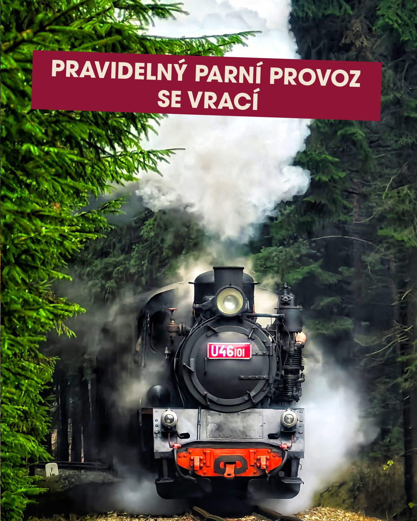 Pravidelný parní provoz